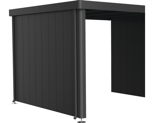 Paroi latérale toit latéral biohort pour abri de jardin Neo 3A/3B/3C/3D gris foncé Pavillon couvert avec parois latérales en aluminium