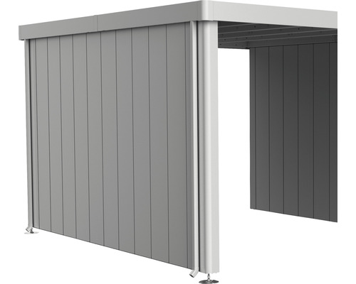 Paroi latérale toit latéral biohort pour abri de jardin Neo 4A/4B/4C/4D argent Vue d''un abri de voiture avec structure en aluminium et panneaux verticaux.