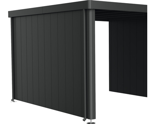 Paroi latérale toit latéral biohort pour abri de jardin Neo 4A/4B/4C/4D gris foncé Abri de voiture moderne avec paroi latérale fermée en aluminium