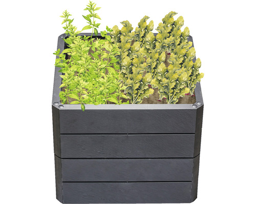 Jardinière en bois avec herbes et légumes