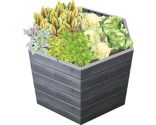 Jardinière surélevée plantée de légumes et d''herbes aromatiques