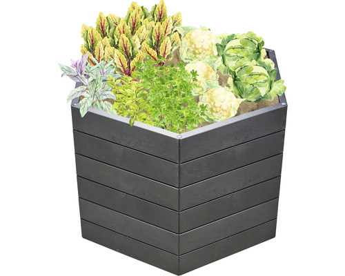 Jardinière surélevée en bois plantée de salade, d''herbes aromatiques et de fleurs
