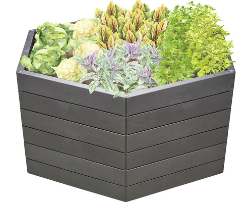 Jardinière surélevée avec différents légumes et herbes aromatiques