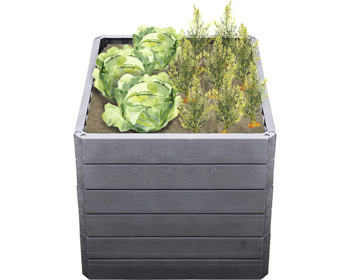 Jardinière surélevée avec choux et plantes