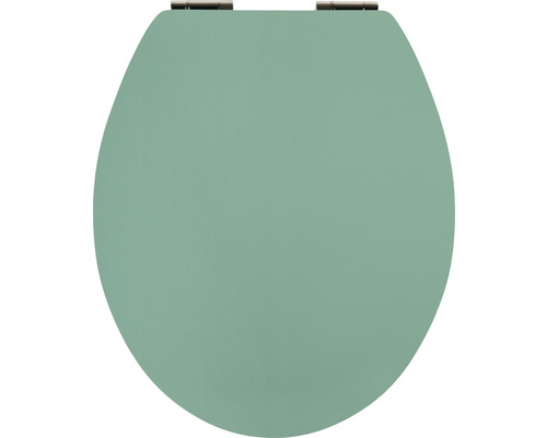 WC-Sitz Trend Uni grün mit Absenkautomatik