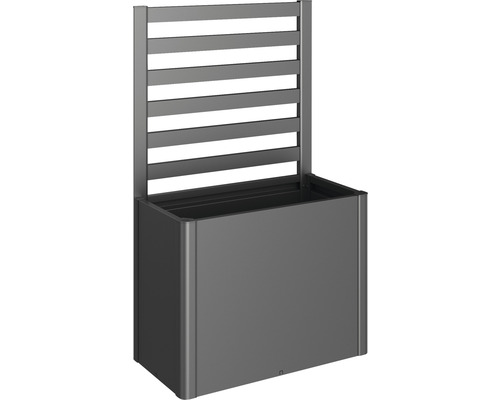 Treillis pour plantes biohort pour DaVinci Taille 100 gris foncé métallique Jardinière avec treillis