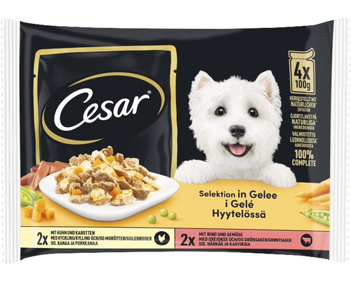 Cesar Hundefutter Selection in Sauce mit Huhn und Karotten 4x100 g