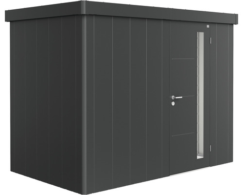 Abri de jardin biohort Neo 1C porte standard 291,5 x 179,5 cm gris foncé métallique