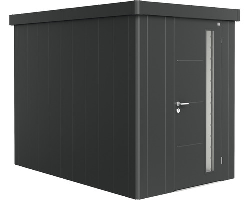 Abri de jardin biohort Neo 3A porte standard 179,5 x 291,5 cm gris foncé métallique