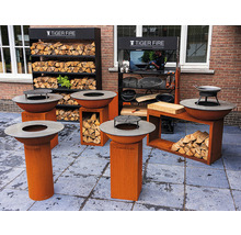 Exposition avec foyers, accessoires de barbecue et étagères à bois de chauffage de la marque Tiger Fire