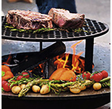 Grill avec viande et légumes sur feu ouvert.