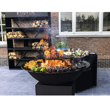 Gril Tiger Fire avec étagère à bois et plats cuisinés à l''extérieur.