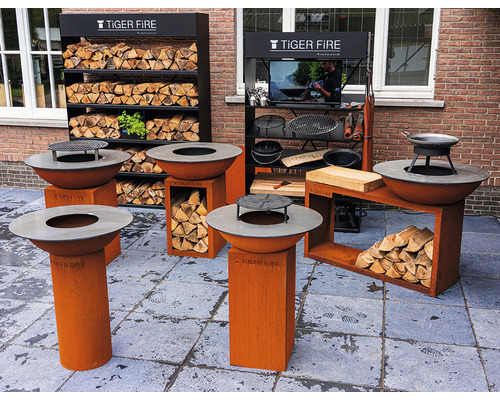 Exposition de produits Tiger Fire avec foyers, étagères de rangement pour le bois et accessoires