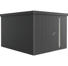 Abri de jardin moderne avec porte