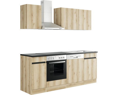 Küchenzeile mit Hängeschränken, Dunstabzugshaube, Herd, Spüle und Geschirrspüler