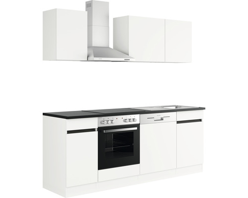 Küchenzeile mit Spüle, Herd, Dunstabzugshaube und Hängeschränken