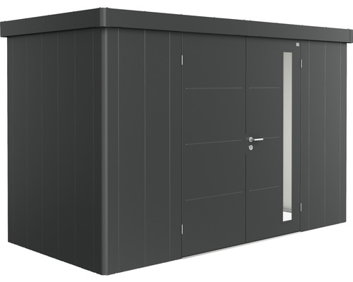 Remise à outils biohort Neo 1D double porte 348 x 180 cm gris foncé-métallique Abri de jardin métallique avec porte et fenêtre