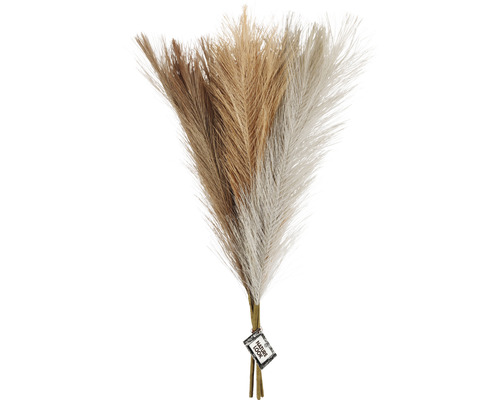Dekorative Federgrasbündel für Innendekoration