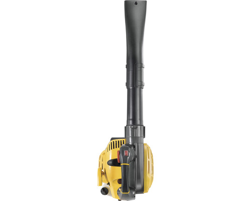 Souffleur à feuilles