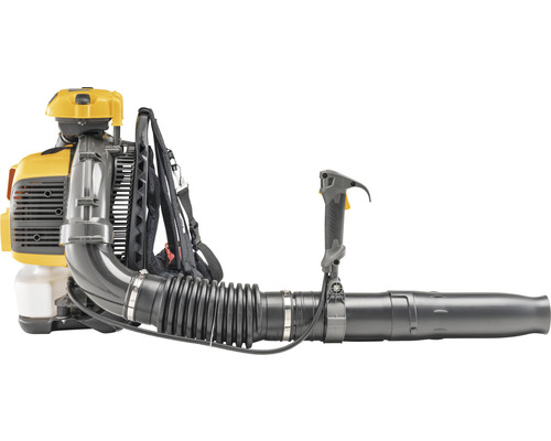 Souffleur de feuilles dorsal pour le jardin