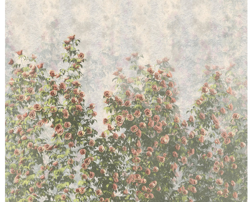 Papier peint panoramique intissé LJX6-038 Le Jardin Wall Roses 6 pces 300 x 250 cm
