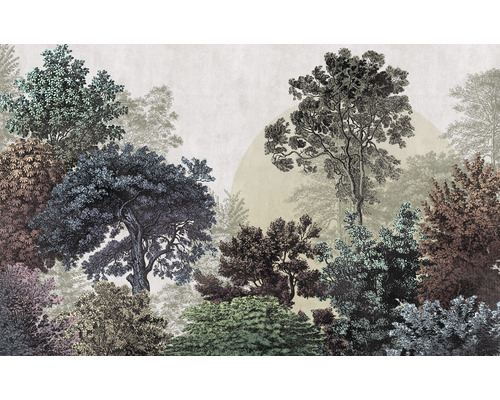 Papier peint panoramique intissé LJX8-058 Le Jardin Bois Brumeux 8 pces 400 x 250 cm