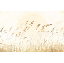 Fototapete Vlies LJX8-063 Le Jardin Dune Grass 8-tlg. 400 x 250 cm