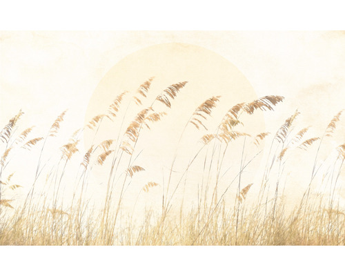 Papier peint panoramique intissé LJX8-063 Le Jardin Dune Grass 8 pces 400 x 250 cm