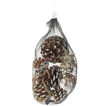 Pommes de pin décoratives dans un filet pour la décoration