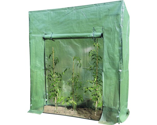 Serre avec trois plantes