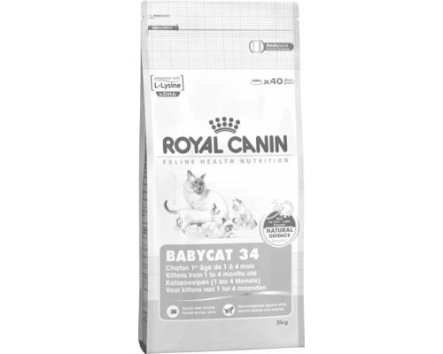 Royal Canin Babycat 34 Katzenfutter für Katzenwelpen von 1 bis 4 Monaten in einer 2 Kilogramm Packung