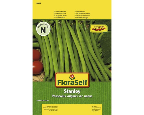Haricot nain 'Stanley' FloraSelf semences stables semences de légumes