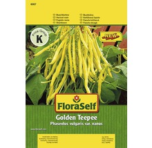 Buschbohne 'Golden Teepee' FloraSelf samenfestes Saatgut Gemüsesamen-thumb-0