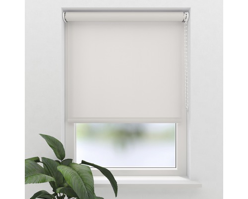 Weisses Rollo am Fenster zur Lichtsteuerung