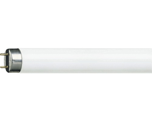 Tube fluorescent G13 / 36 W blanc 3250 lm 6500 K blanc lumière du jour