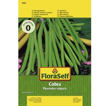 FloraSelf haricot grimpant Cobra sachet de graines