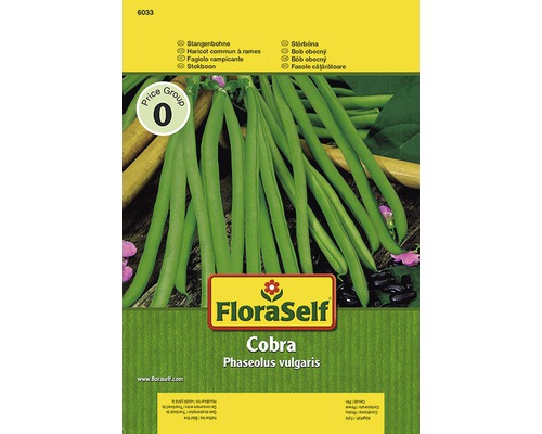 Haricot à rames 'Cobra' FloraSelf semences stables semences de légumes