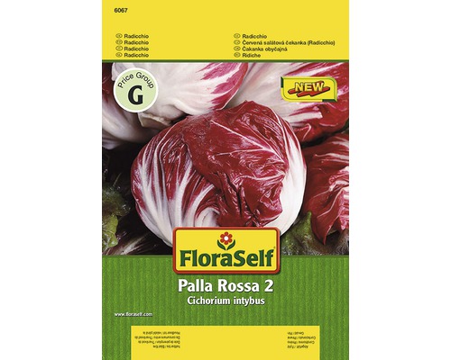 Radis 'Palla Rossa 2' FloraSelf semences stables semences de légumes