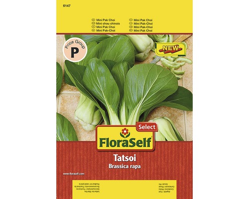 Mini-Pak Choi Tatsoi FloraSelf Select samenfestes Saatgut Gemüsesamen