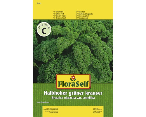 Grünkohl 'Halbhoher Kraus' FloraSelf samenfestes Saatgut Gemüsesamen