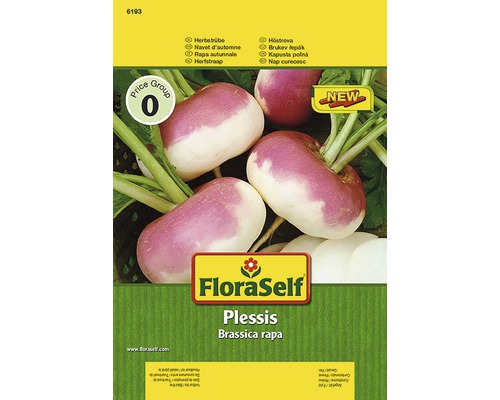 Navet 'Plessis' FloraSelf semences de légumes hybrides F1