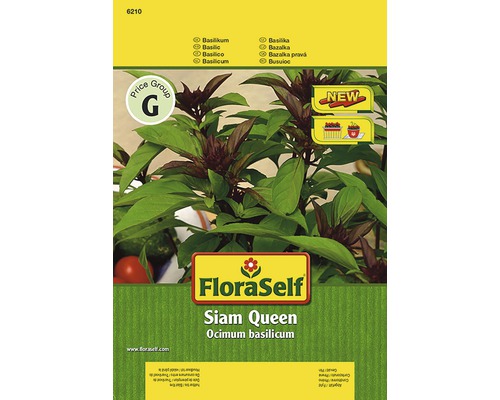 Basilic 'Siam Queen' FloraSelf semences stables semences de fines herbes