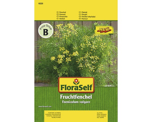 Fenchel FloraSelf samenfestes Saatgut Kräutersamen
