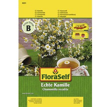 Echte Kamille FloraSelf samenfestes Saatgut Kräutersamen