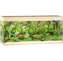 Aquarium Juwel Rio 240 LED ohne Unterschrank helles Holz