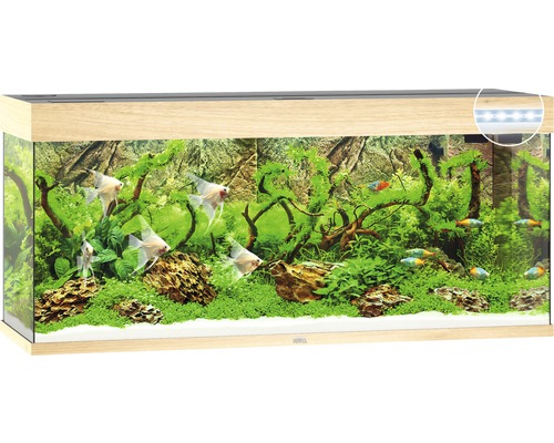 Aquarium Juwel Lido 200 avec éclairage LED, pompe, filtre, chauffage sans  meuble bas gris - HORNBACH