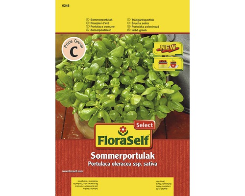 Sommerportulak FloraSelfSelect samenfestes Saatgut Gemüsesamen
