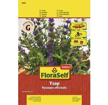 FloraSelf Ysop Saatgutpackung mit Pflanze und Informationen
