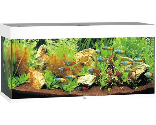 Aquarium JUWEL Rio 180 avec éclairage à LED, pompe, filtre, chauffage sans meuble bas blanc