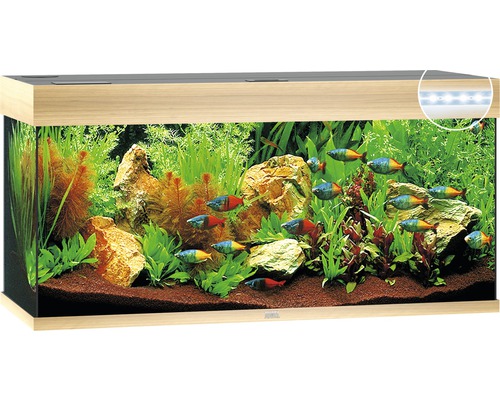 Aquarium Juwel Rio 180 LED ohne Unterschrank helles Holz